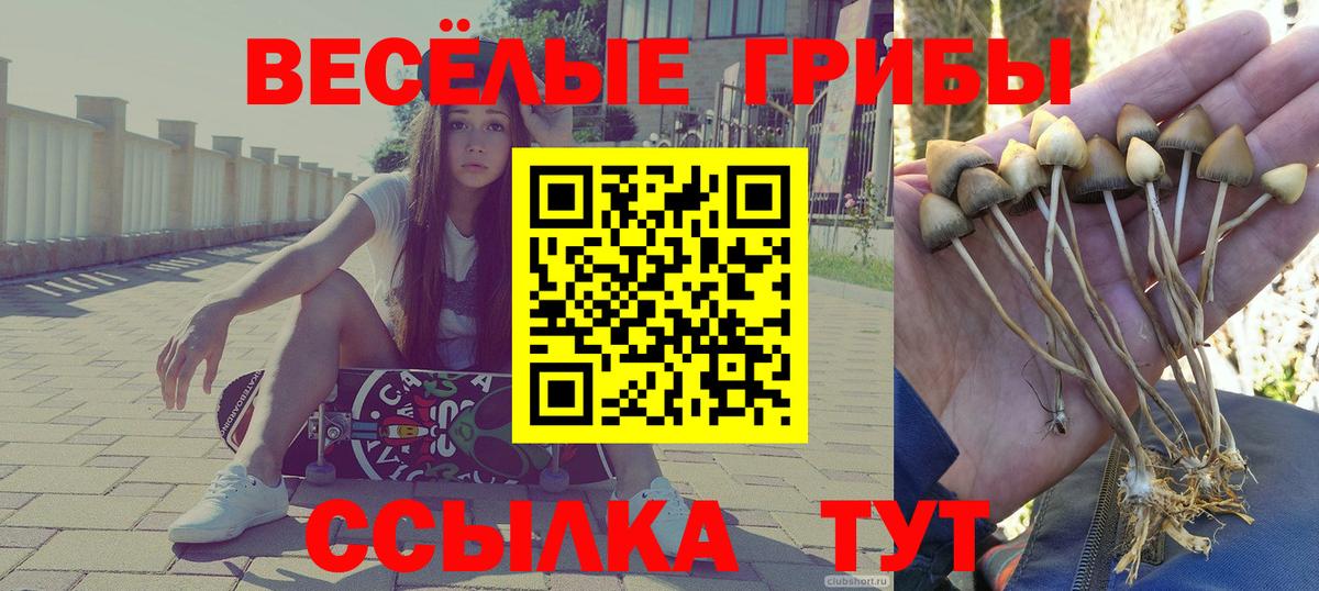Ирбит  Псилоцибиновые грибы Cubensis  Вход с VPN 