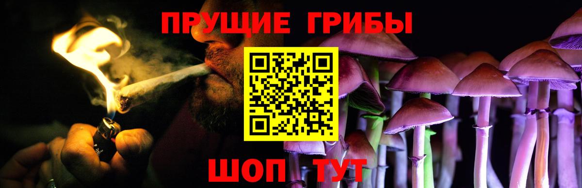 Галлюциногенные грибы GOLDEN TEACHER Ирбит